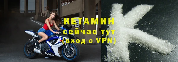 молекула духа Богданович