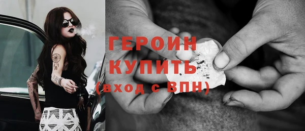 молекула духа Богданович