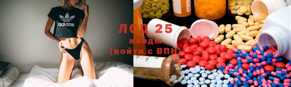 молекула духа Богданович