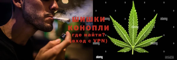 мдпв Богородицк