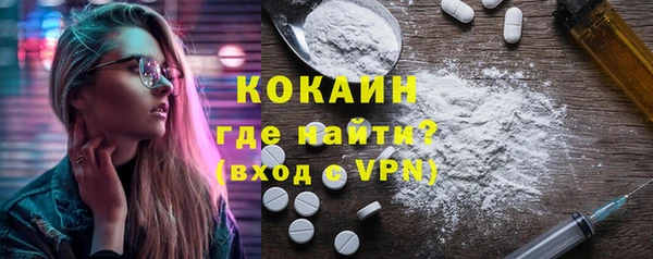 молекула духа Богданович