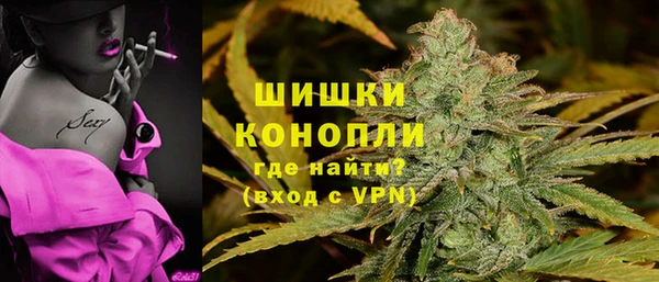 мдпв Богородицк