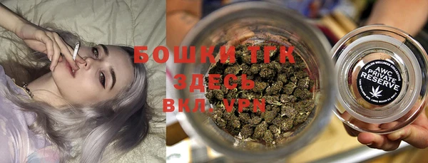 молекула духа Богданович